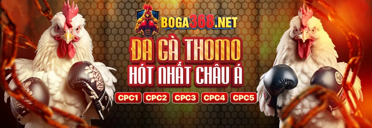 Giao diện hướng dẫn đặt cược đá gà tại KU77