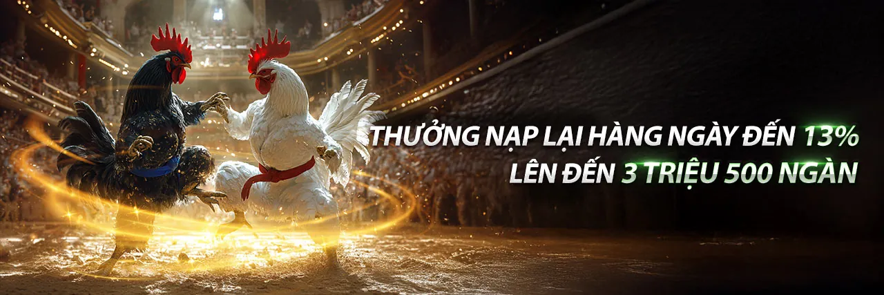 Hình ảnh chính blog ku 77