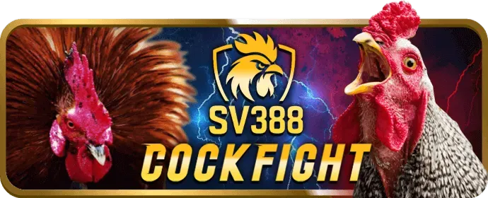 Video Slots Hiện Đại KU77